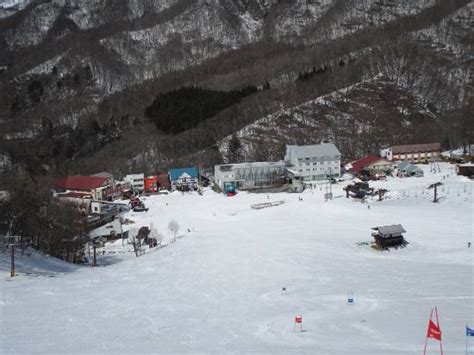 尾瀬戸倉スキー場 天気 雪の妖精が踊る日